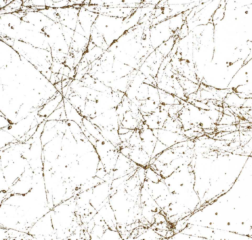 Montana MARBLE Effect 400ML Gold