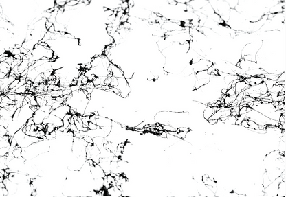 Montana MARBLE spray spuitbus Effect 400ML Black